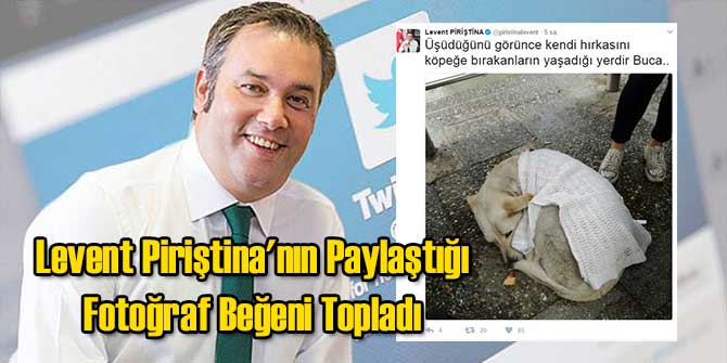 Levent Piriştina'nın Paylaştığı Fotoğraf Beğeni Topladı