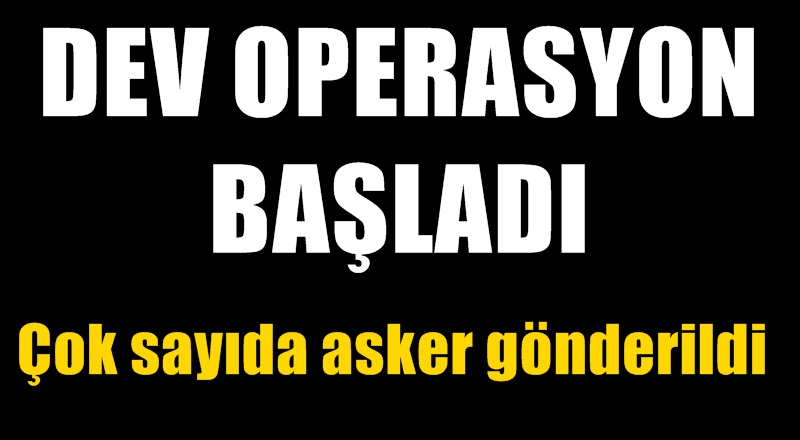 Lice'de hava destekli operasyon