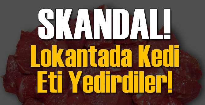 Lokantada Kedi Eti Yedirdiler