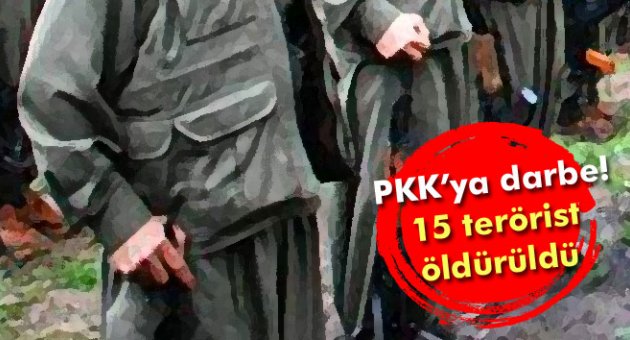 Mardin'de 15 PKK'lı öldürüldü