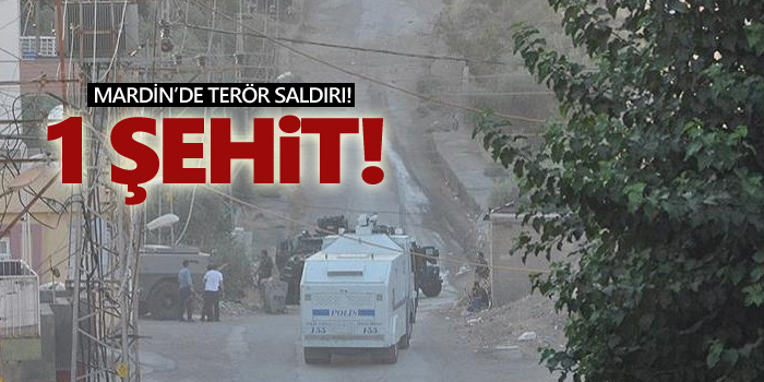 Mardin'de özel harekat polisi şehit oldu