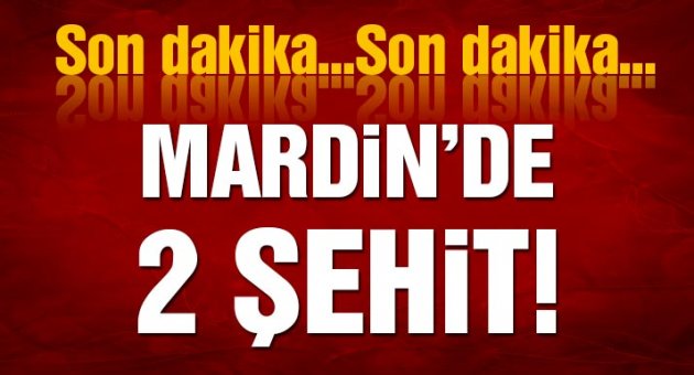 Mardin’de iki asker şehit oldu