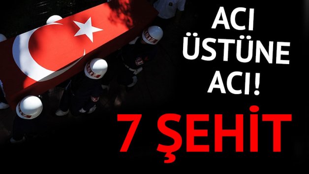 Mardin ve Van'dan kahreden haberler 7 Şehit