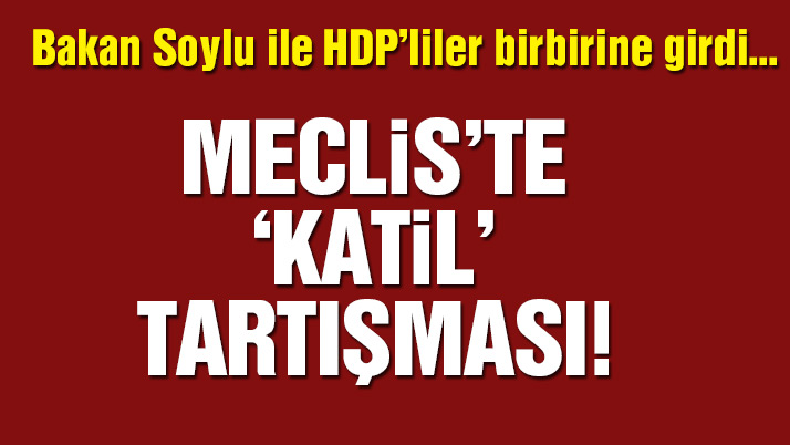 Mecliste 'katil' tartışması! Bakan Soylu ile HDP'liler birbirlerine girdi