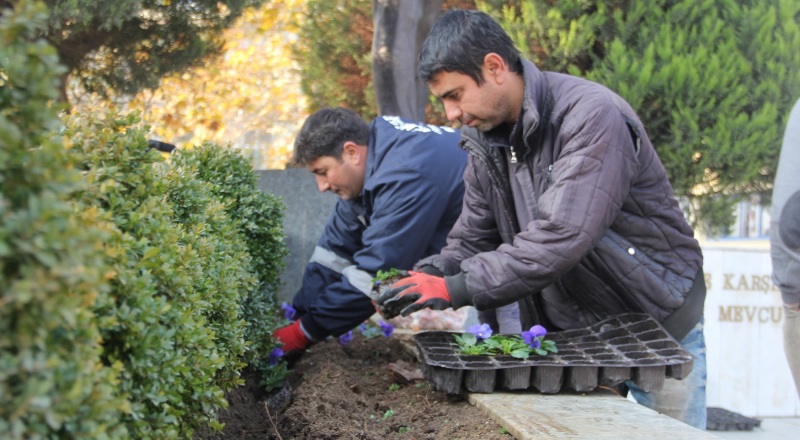 Menderes'te Kışlıklar Çıktı