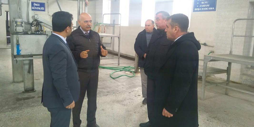 Mezbahalarda İncelemeler Sürüyor