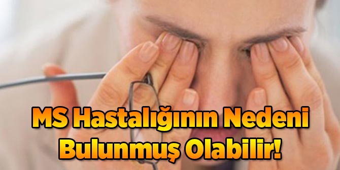 MS Hastalığının Nedeni Bulundu mu?