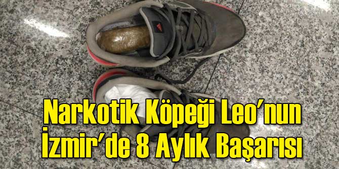 Narkotik Köpeği Leo'nun İzmir'de 8 Aylık Başarısı