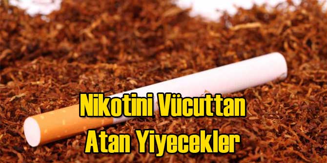 Nikotini Vücuttan Atan Yiyecekler