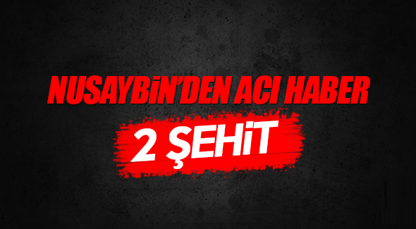 Nusaybin'den acı haber: 2 şehit!