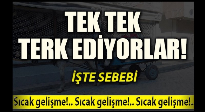 Nusaybin'de yeni göç dalgası