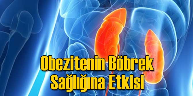 Obezitenin Böbrek Sağlığına Etkisi