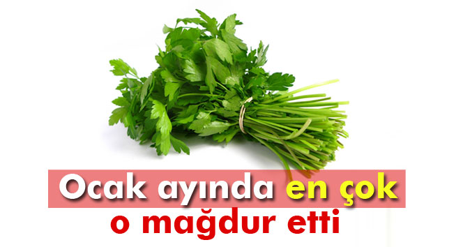 Ocak ayında en çok 'maydanoz' mağdur etti