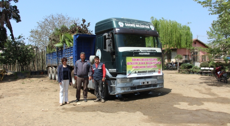 Ödemiş süs bitkileri Kınık caddelerini yeşillendirecek