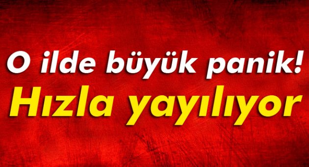 O ilde panik! Havyan pazarları kapatıldı