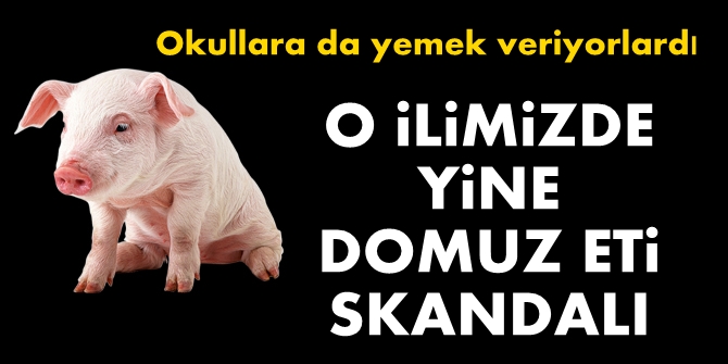 O ilimizde domuz eti skandalı! Okullara da yemek veriyorlardı...