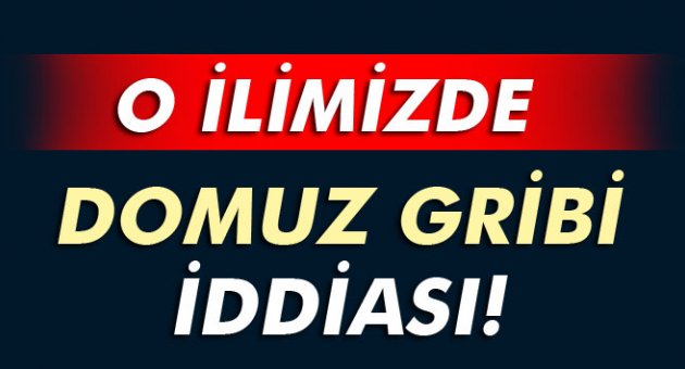 O ilimizde domuz gribi tehlikesi!
