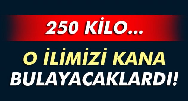 O ilimizi kana bulayacaklardı!