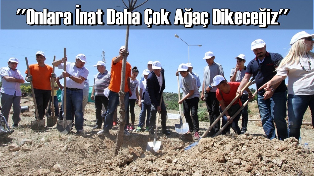 Onlara İnat Daha Çok Ağaç Dikeceğiz