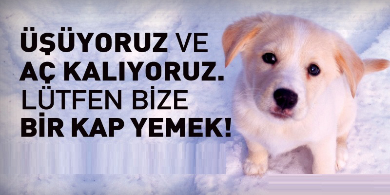 Onlar için soğuk havalarda bunları yapabilirsiniz