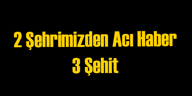 Operasyonda 2 Asker Şehit Oldu