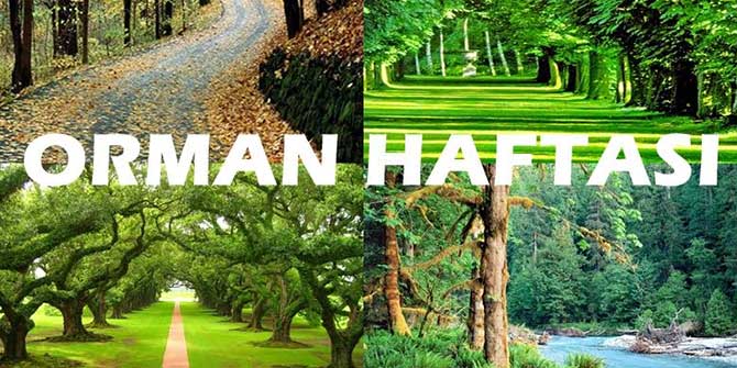 Orman Alanımız Artıyor