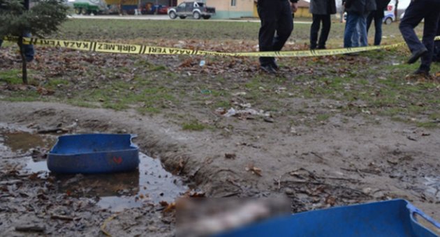 Ormanda 6 aylık cenin bulundu