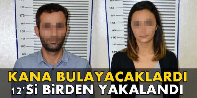 Ortalığı kana bulayacaklardı; 12'si birden yakalandı