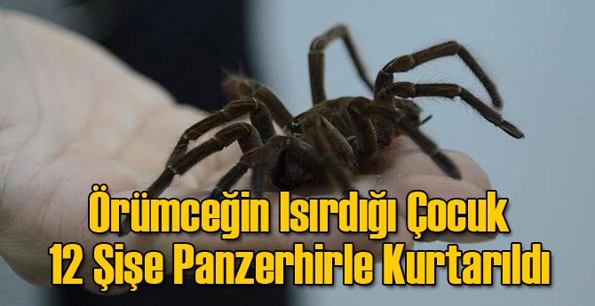 Örümceğin Isırdığı Çocuk 12 Şişe Panzerhirle Kurtarıldı