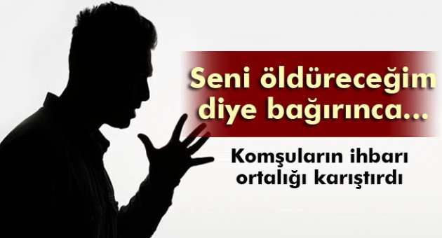 Örümcek öldürüyordu, karısını öldürüyor sandılar