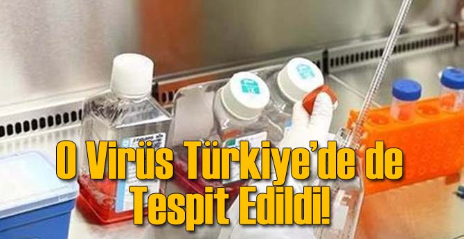 O Virüs Türkiye'de de Tespit Edildi!