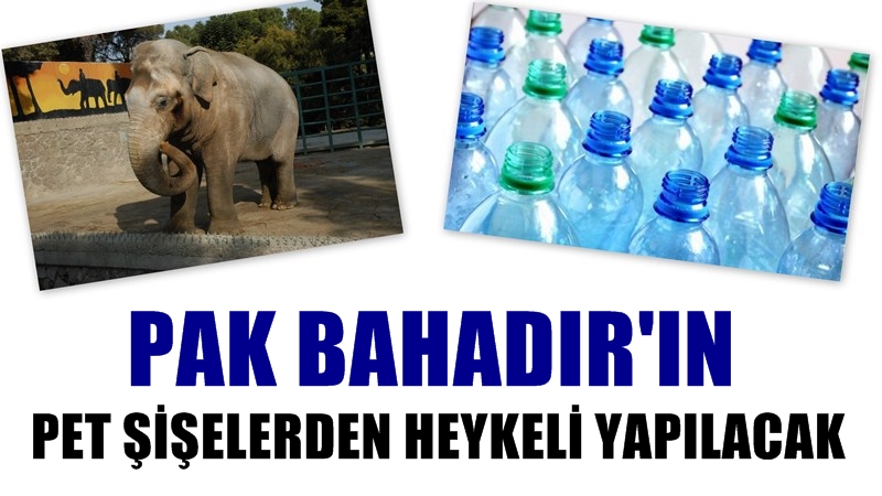 Pak Bahadır'ın Pet Şişelerden Heykeli Yapılacak