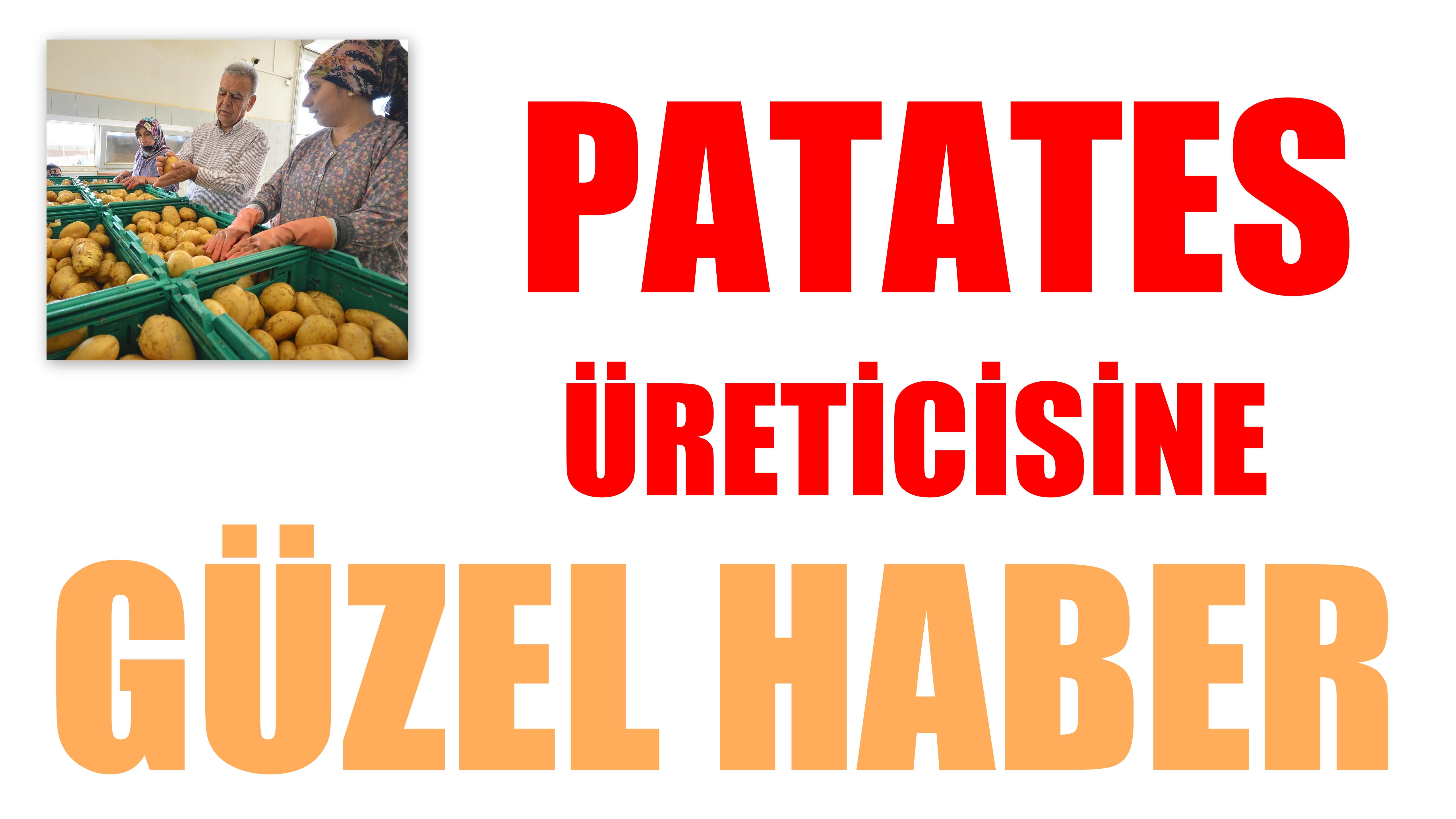 Patates Üreticisine Güzel Haber