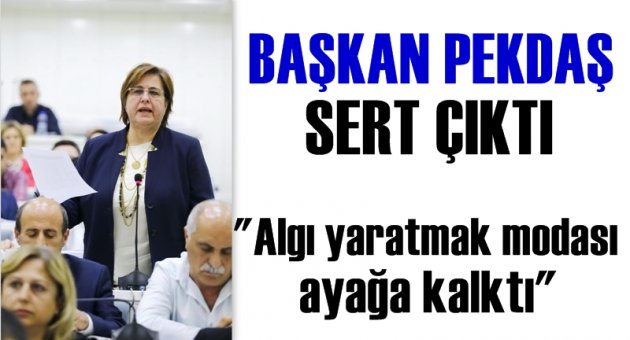 Pekdaş: Algı yaratmak modası atağa kalktı