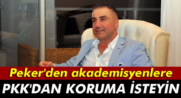 Peker&#039;den akademisyenlere: &#039;PKK&#039;dan koruma isteyin, polisten değil&#039;
