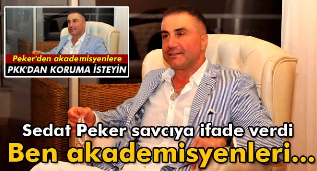 Peker savcıya ifade verdi: 'Ben akademisyenleri tehdit etmedim'