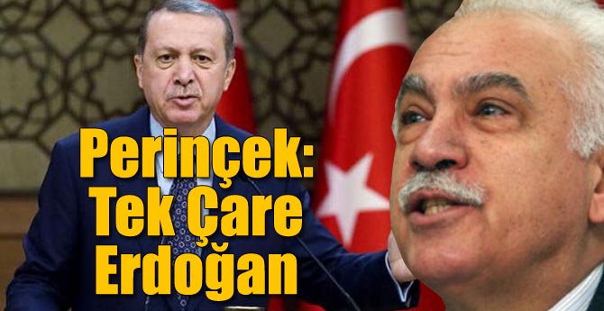 Perinçek: Tek Çare Erdoğan