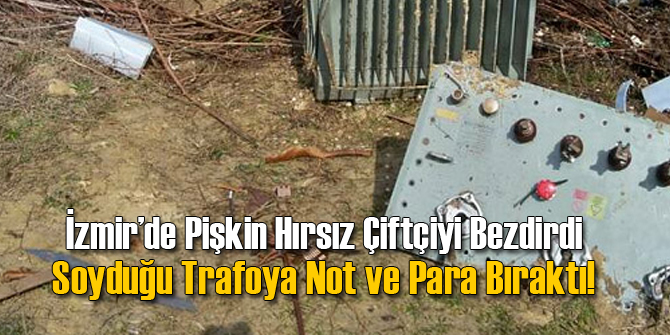 Pişkin Kablo Hırsızı Bezdirdi