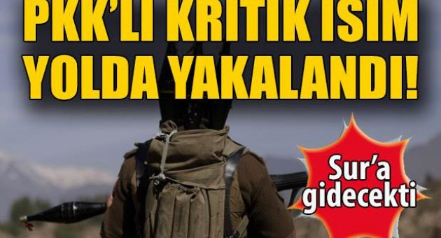 PKK'nın bölge kuryesi yakalandı