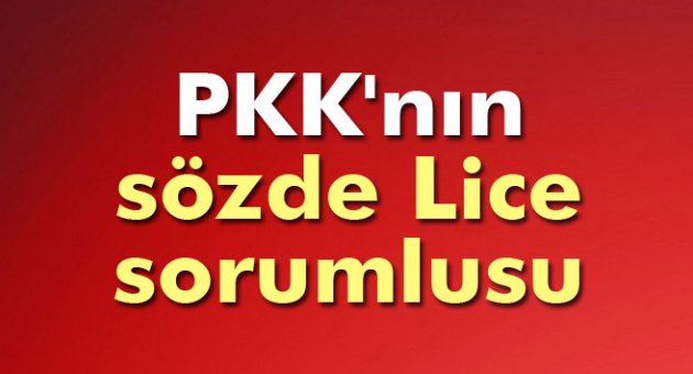 PKK'nın sözde Lice sorumlusu tutuklandı