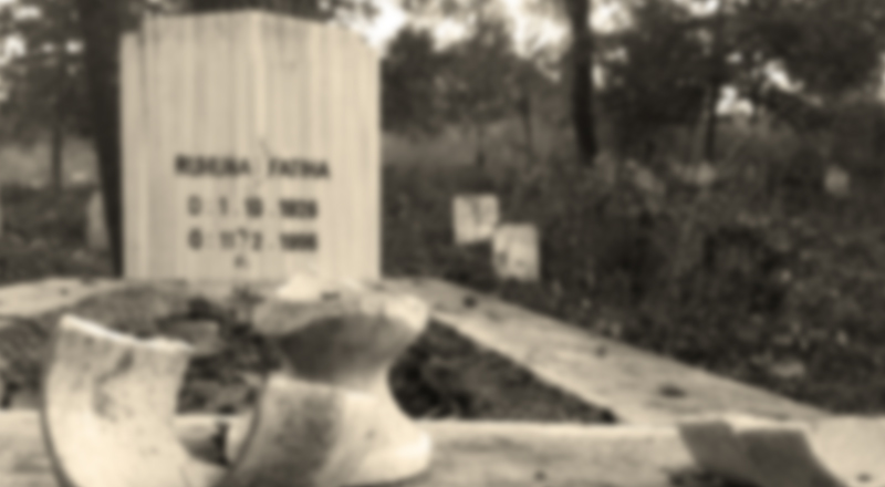 PKK'lılar Mezarlara Bile Patlayıcı Tuzaklamış