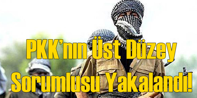 PKK'nın Üst Düzey Yetkilisi Yakalandı