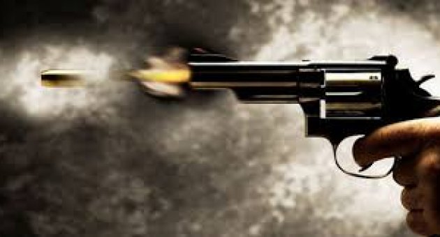 Polise silah sıkan gösterici vurularak etkisiz hale getirildi