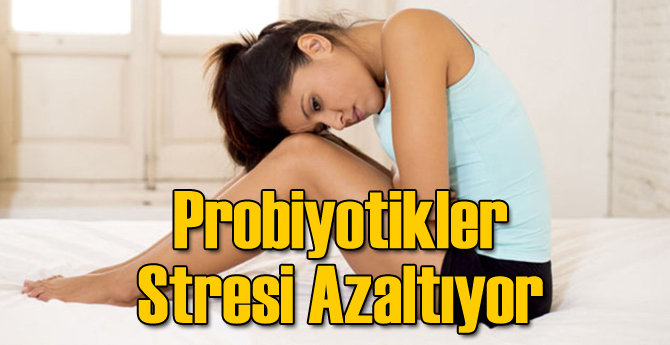 Probiyotikler Stresi Azaltıyor