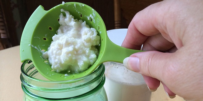 Rus casuslarının peşindeki iksir: Kefir