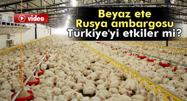Rusya'nın beyaz et ambargosu Türkiye'yi etkiler mi?