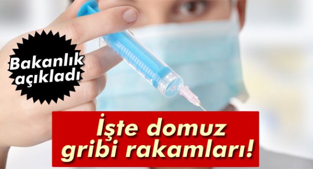 Sağlık Bakanlığı domuz gribi rakamlarını açıkladı!