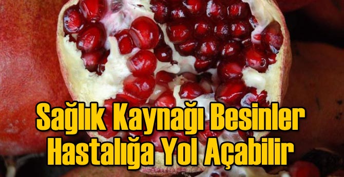 Sağlık Kaynağı Besinler Hastalığa Yol Açabilir