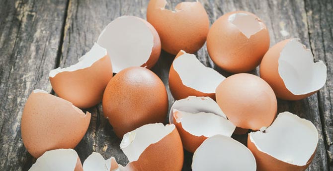 Şaka Değil! Yumurtayı Kabuğuyla Bir Yiyin!