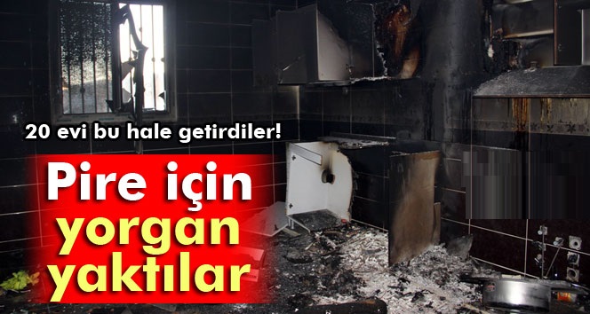Şanlıurfa'da 20 evi yağmalayıp ateşe verdiler